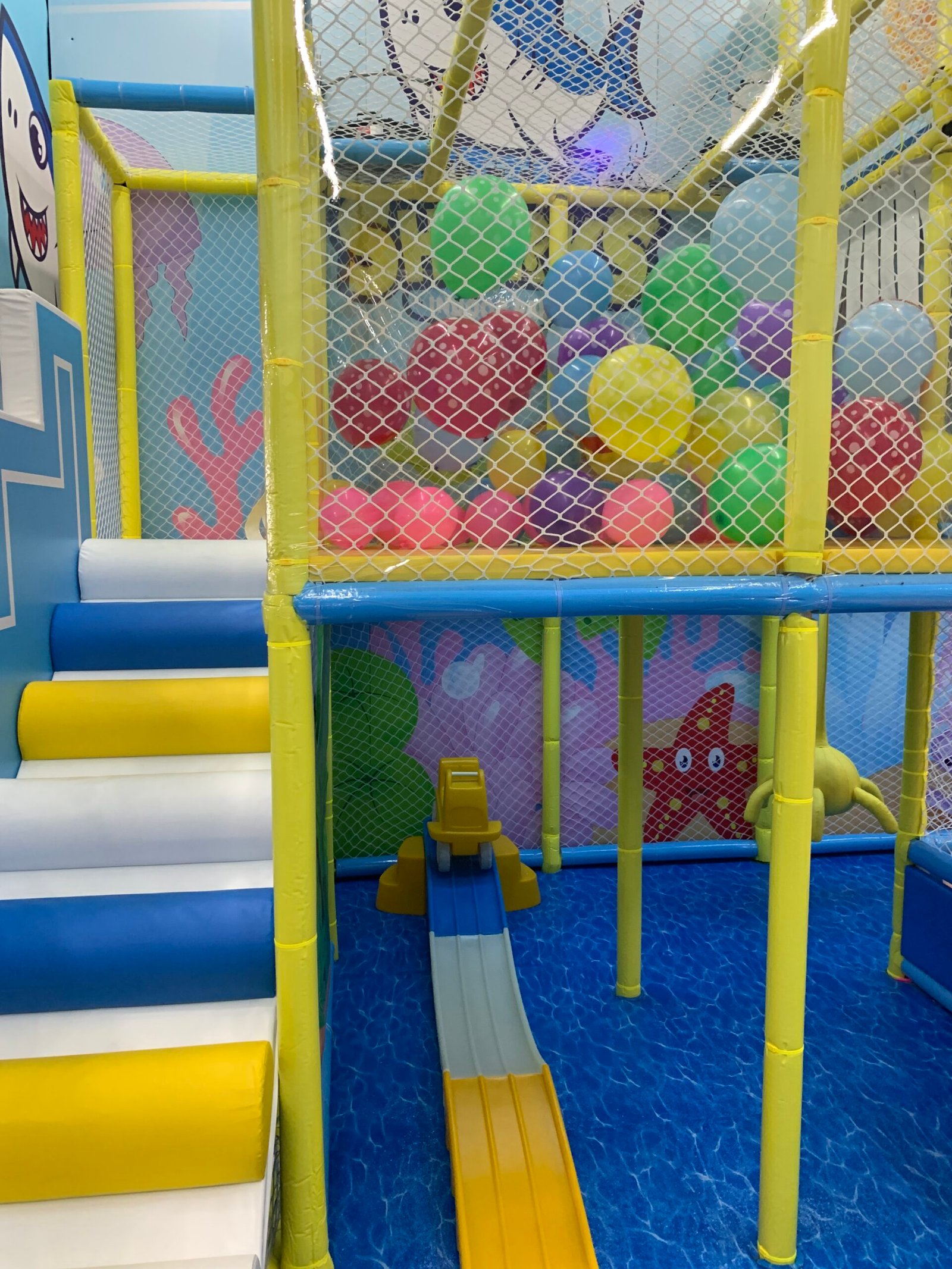 Little Sharks Indoor Park — foto 2