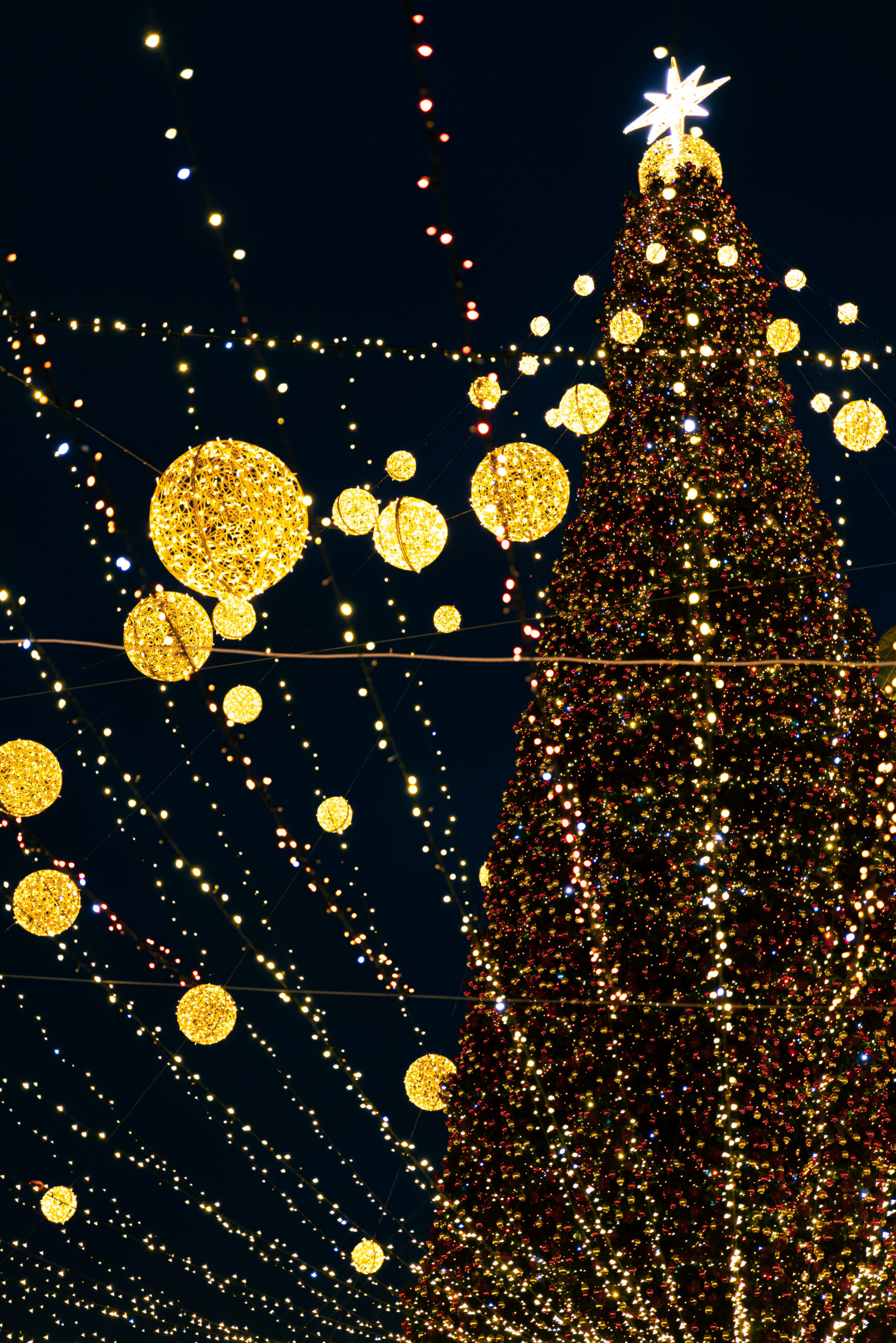 eventos familiares 21-23 noviembre en el salvador