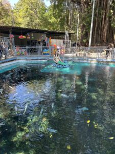 Water parks in El Salvador - Ichanmichen