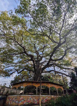 Salcoatitán on the Ruta de las Flores