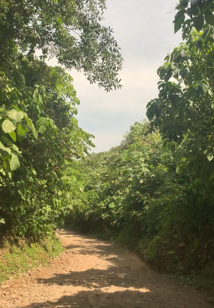 The road on the way to Peñón de Comasagua