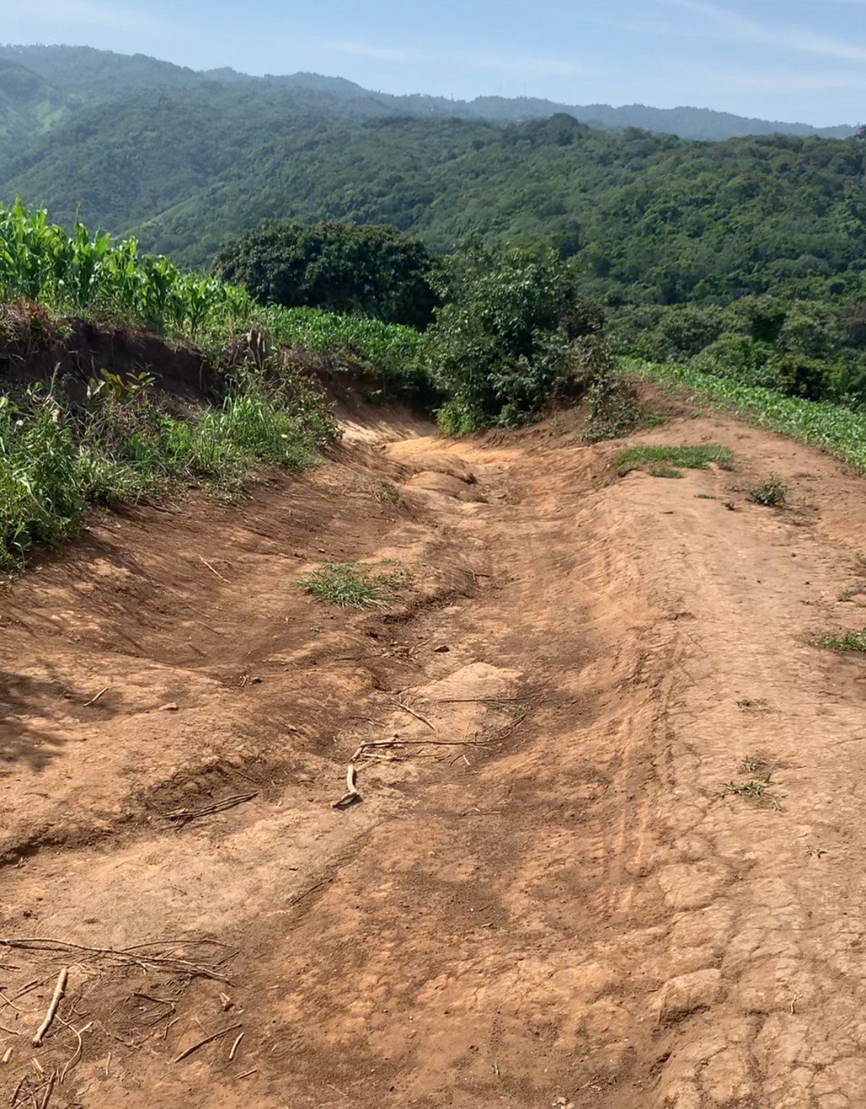 Part of the path to the Peñón de Comasagua