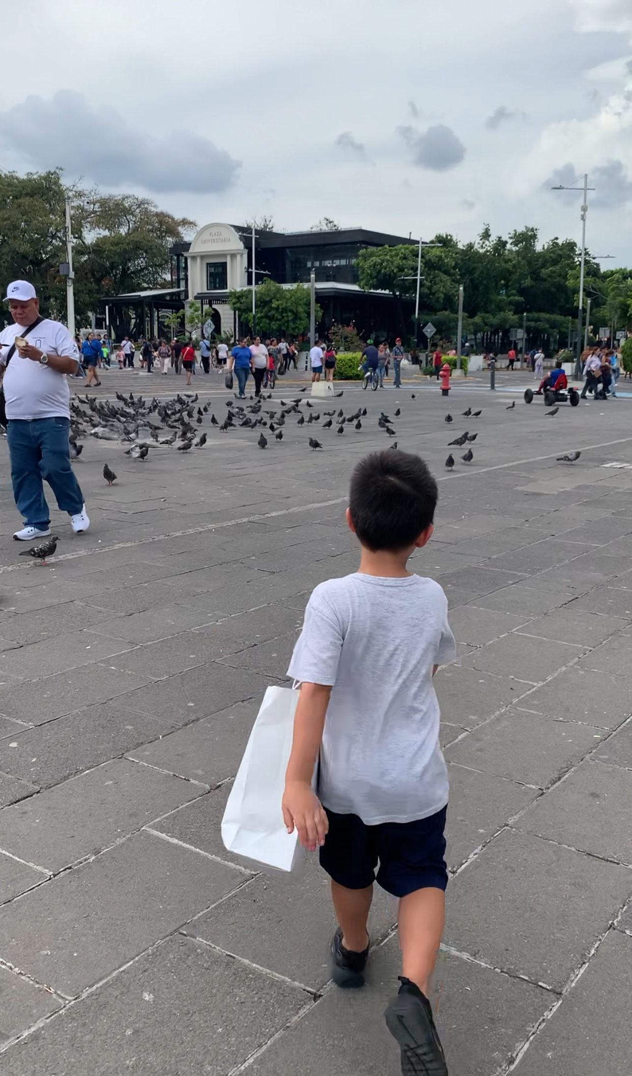 Plaza Universitaria — foto 3